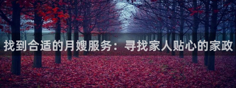 杏悦平台代理注册流程