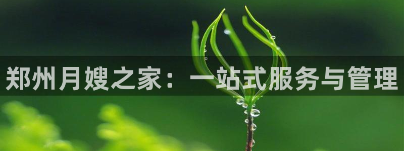 杏悦平台官网注册账号