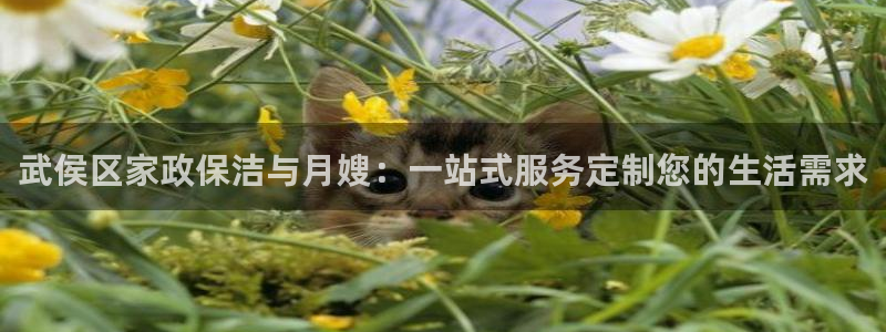 杏悦平台注册地址