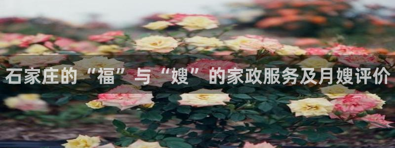 杏悦平台登录网址是多少