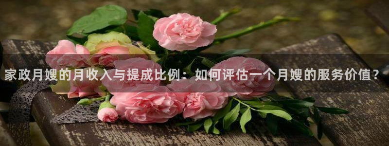 杏悦平台登录网址查询