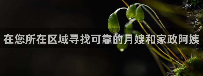 杏悦官网登录入口网址是多少