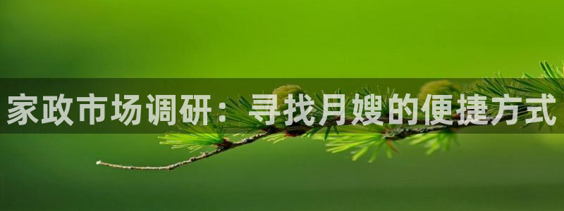 杏悦官网注册信息查询
