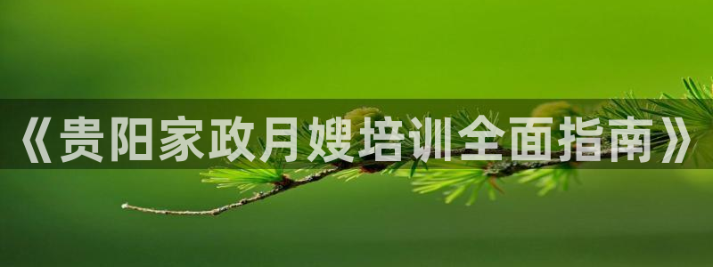 杏悦平台代理注册流程