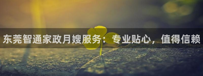 杏悦平台注册流程