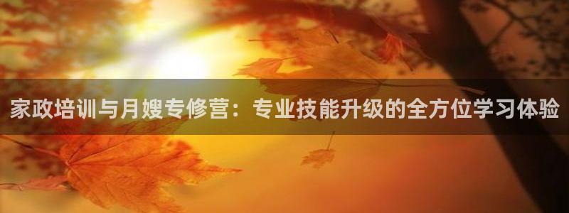 杏悦平台登录网址查询