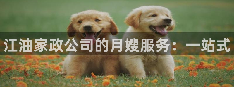 杏悦娱乐注册平台