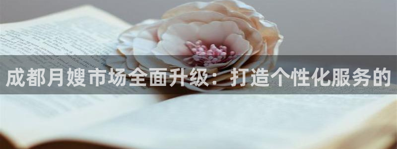 杏悦娱乐注册平台官网