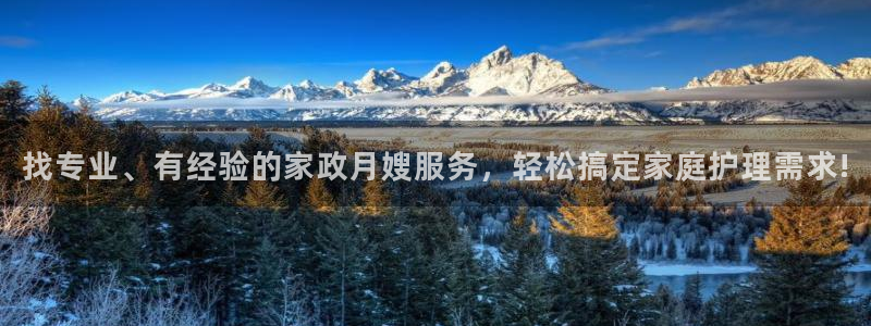 杏悦官网注册信息查询