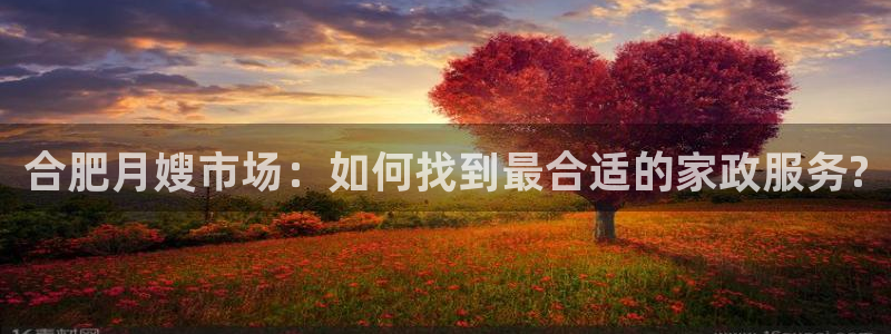 杏悦平台代理注册要钱吗