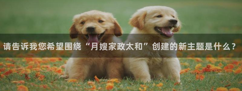 杏悦官网注册信息在哪里找