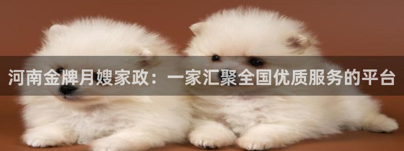 杏悦平台登录地址