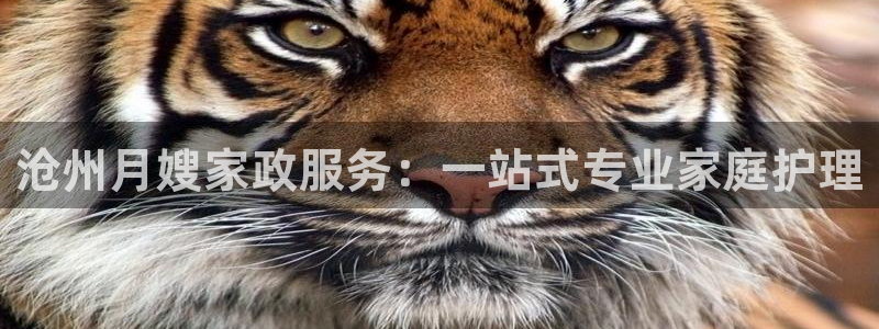 杏悦娱乐注册平台官网