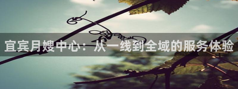 杏悦登录网址是什么