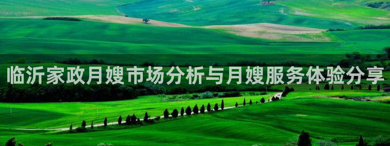 杏悦平台登录网址查询