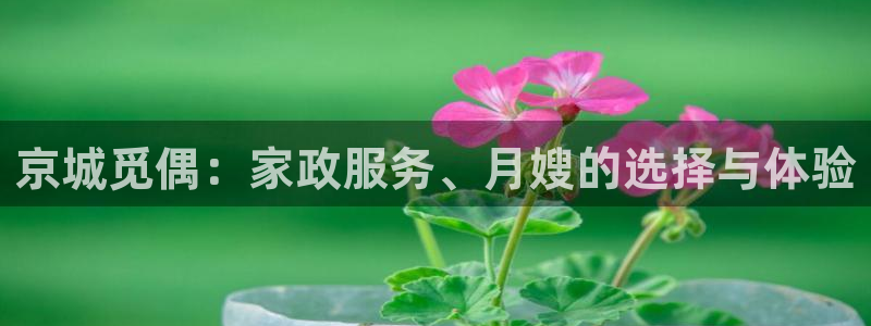 杏悦官网登录入口网址是什么