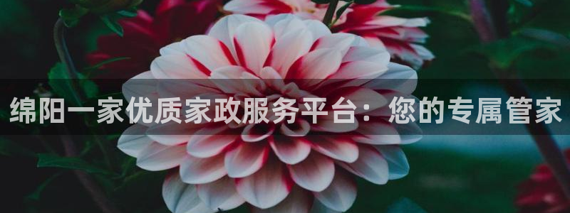 杏悦平台登录网址是多少