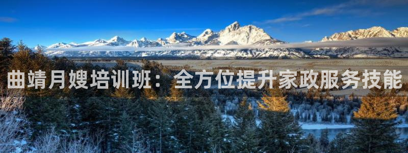 杏悦官网注册信息在哪里查看