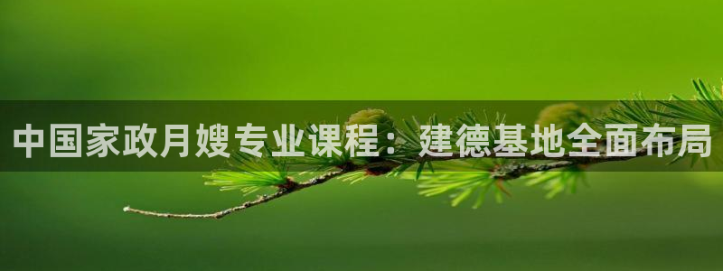 杏悦官方平台官网